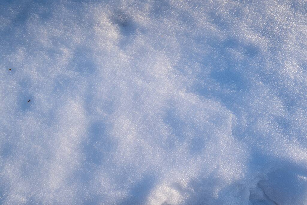 forest hill slope covered with snow, winter forest on sun dawn, flatlay and long shadows, outdoor active hobby for green tourism, nature explore and protection concept header, abstract background - 写真・画像