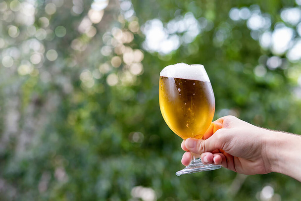 Hand with a glass of beer in the blurred background. - Foto, Bild