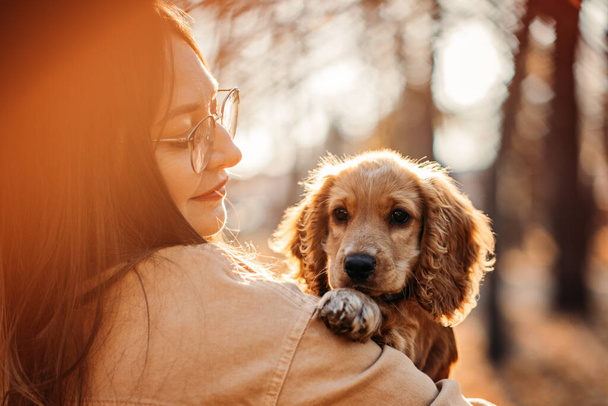 Cute English cocker spaniel puppy in the hands of the owner in autumn park. Woman walk with little English cocker spaniel puppy dog in fall nature background - Foto, imagen