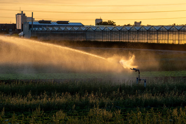 Agricultural irrigation system is needed due to hot summer and drought caused by climate change threatens agriculture and farming industry with dry weather and no rainfall inflate crop prices harvest - Fotografie, Obrázek