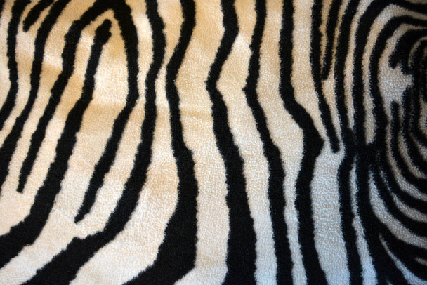 Soft, pleasant, fluffy fabric in the form of zebra, white tiger colors. Fabric animal background consisting of black and white chaotic lines, stripes, cracks. - Valokuva, kuva