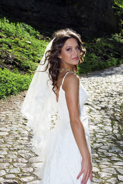 Attractive bride with a veil poses on the road - Foto, Bild