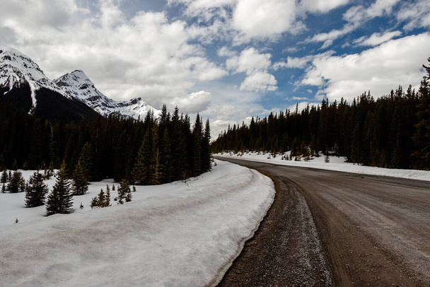 Uitzicht langs de weg op de bergen. Peter Lougheed Provincial Park, Alberta, Canada - Foto, afbeelding