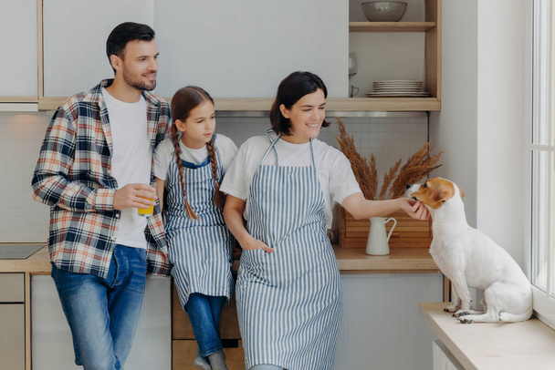 Friendly positive family members stand together at kitchen, play with dog, mother and daughter wear aprons, father drinks fresh juice, enjoy domestic atmosphere. People, relationship, home concept - 写真・画像