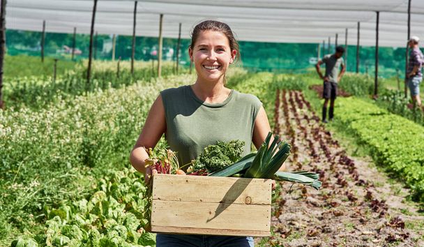 Mother nature spoils those who treat her well. Portrait of an attractive young woman carrying a crate full of vegetables outdoors on a farm - Fotoğraf, Görsel