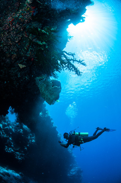 Potápěč po koupání v podvodní fotografii Banda, Indonésie - Fotografie, Obrázek