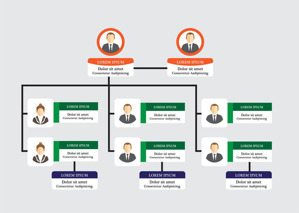 Organization Chart Infographics with People Icon and Abstract Line, Business Structure, Hierarchy of employees, org  Vector Illustration. - Вектор, зображення