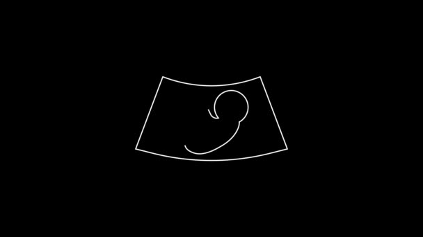 White line Ultrasound of baby icon isolated on black background. Fetus. 4K Video motion graphic animation. - Záběry, video