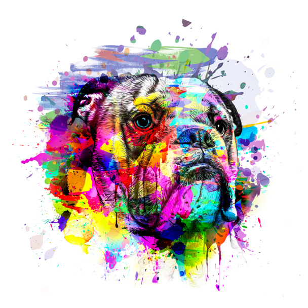 abstrakcyjny kolorowy pies pysk izolowane na kolorowe tło kolor sztuki - Zdjęcie, obraz