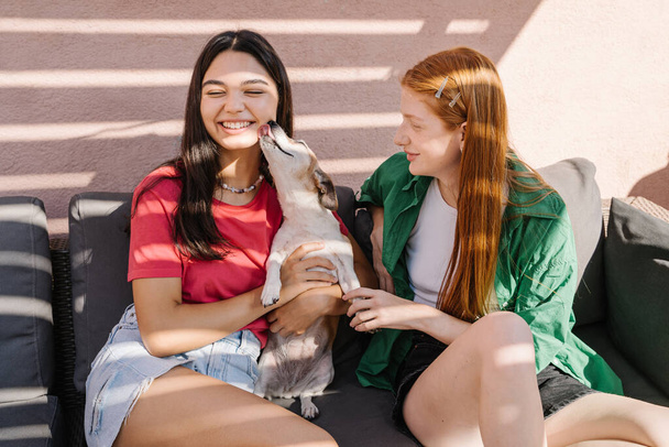Friends and small pet. Dog Jack Russell terrier kissing one of the girls young teen friends. Happy moments together. Pet owner love and trust. Friends forever relaxed weekend leisure time - Фото, изображение