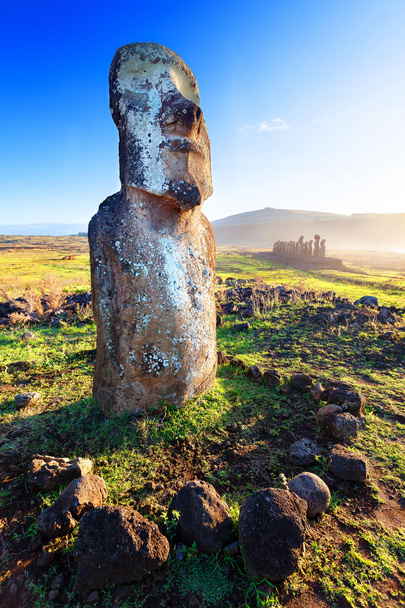 Yksinäinen seisoo moai kirkkaassa auringonpaisteessa pääsiäissaarella
 - Valokuva, kuva