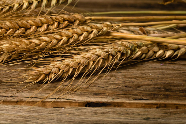Пшеничные уши детали. Зерновые для хлебобулочных изделий, производства муки - Фото, изображение