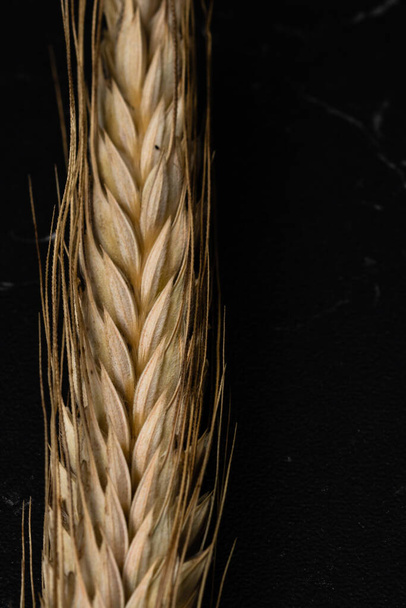 Wheat ears detail. Cereals for backery, flour production - Fotó, kép