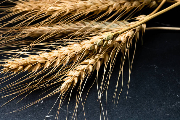 Orelhas de trigo detalhe. Cereais para backery, produção de farinha - Foto, Imagem