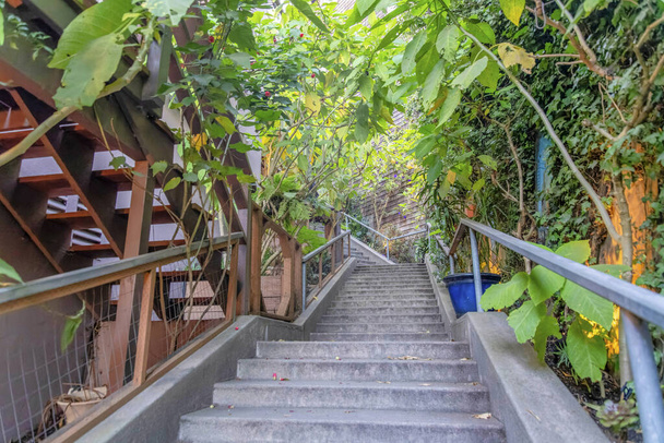 Staircase outside the houses at San Francisco in California. Staircase with concrete steps with a view of a entrance stairs on the left and trees on both sides along the railings. - Zdjęcie, obraz