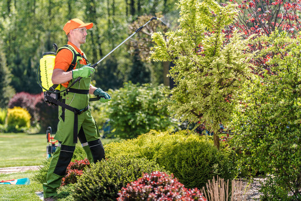 Професійні кавказькі садівники розпорошують пестициди на рослинах у гарному саду Клієнтів - Фото, зображення
