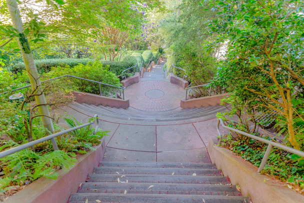 Outdoor staircase on a slope with plants and trees on the side at San Francisco, California. High angle view of a stairs with red concrete steps and round landing in the middle. - Foto, Bild
