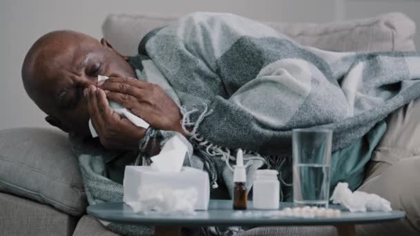 Sad ill elderly african american man lies on couch wrapped in warm blanket mature old grandpa coughing blowing runny nose into tissue paper suffering from illness feeling flu symptoms viral infection - Filmmaterial, Video