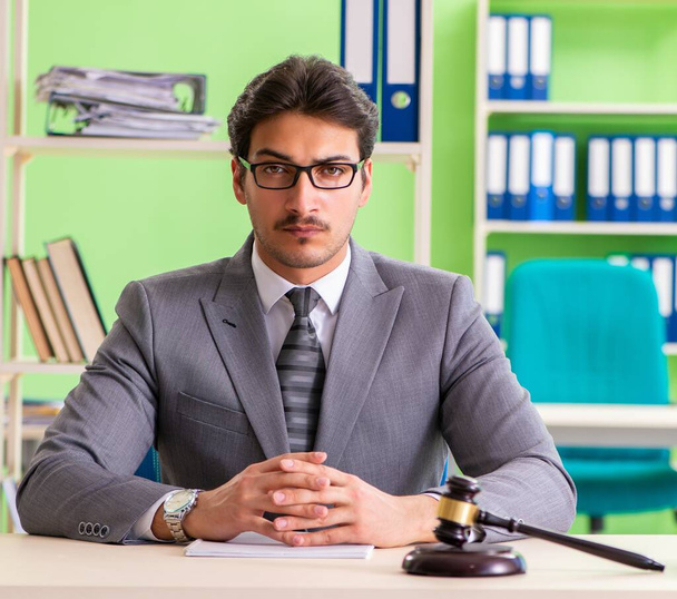 The young handsome lawyer working in the office - Photo, Image