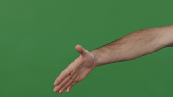 Close-up in studio on green background part of human body two young men shake hands greet friendly gesture conclude successful contract agreement male support symbol agreement sign meeting of friends - Metraje, vídeo