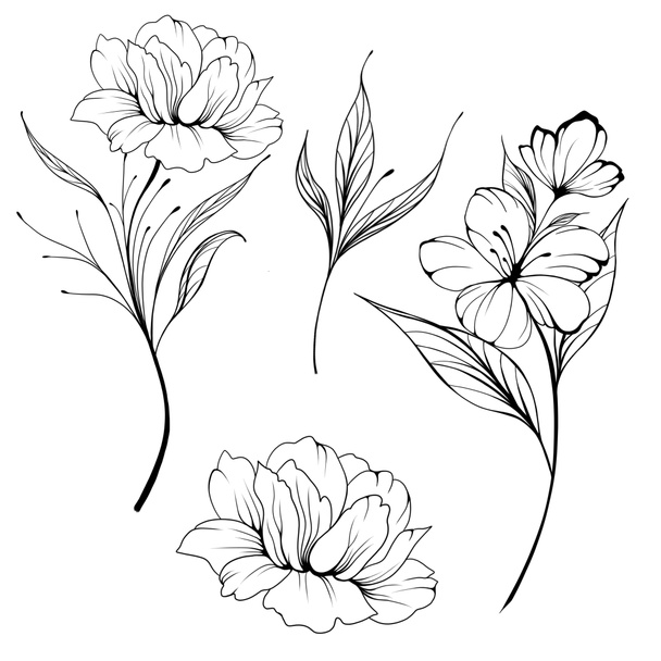 Big set Flowers Periwinkle. Hand drawing. Outline. On a white background. Beautiful sketch of a tattoo - a delicate twig with flowers. botany design element - Photo, Image