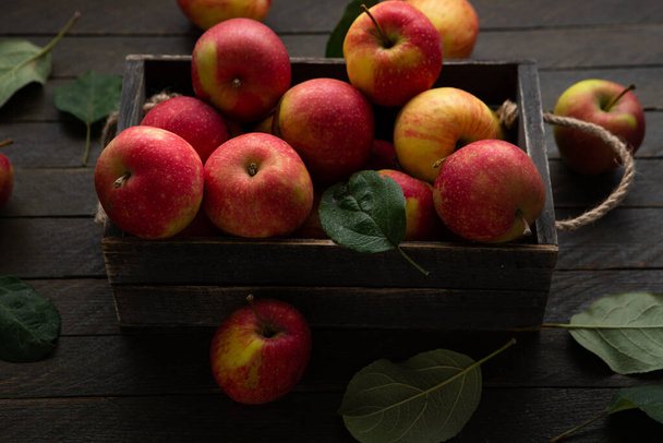 Fresh farmer apples in wooden crate harvest fruits on rustic surface homegrown food - Photo, image