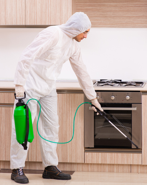 The professional contractor doing pest control at kitchen - Fotó, kép