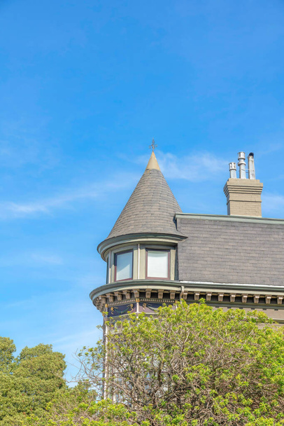 Trees below outside the french country home in San Francisco, California against the sky. Low angle view of a house with a view of the curved wall and gray shingles roof and chimney with flues. - Foto, immagini