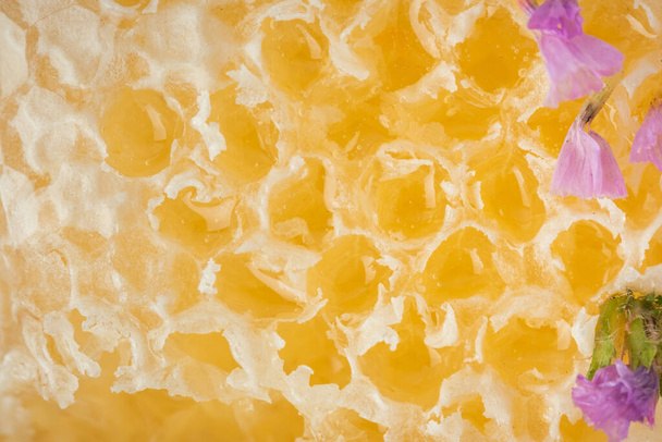 Honeycomb full of honey as a textured background. Wooden honeycomb frame with fresh honey inside - Zdjęcie, obraz