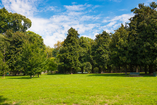 Green lawn with trees - Photo, Image