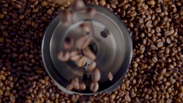 Свежий кофе зерна льется в электрической мельницы близко. Вид сверху коричневых ароматических семян, падающих в современной смеси для шлифовки. Кухонный инструмент для приготовления кофе порошок на фоне разбросанных бобов - Кадры, видео