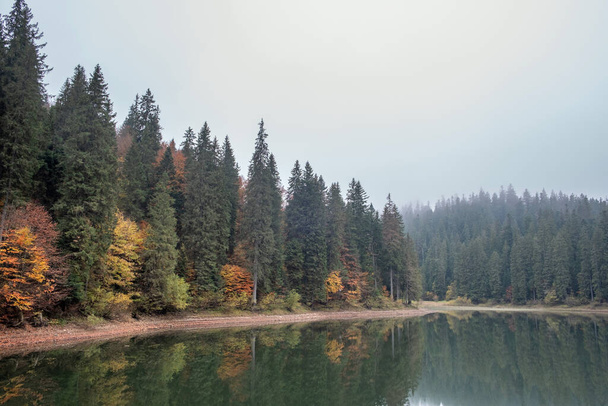 Lake in mystery fog with autumn forest. Ghostly mountain lake. Ukrainian lake Synevir - Photo, Image