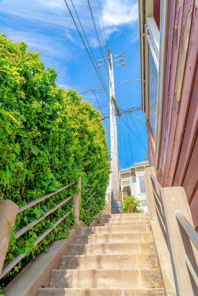 Outdoor stairs near the wall shrubs leading to a concrete electrical post in San Francisco, CA. Low angle view of a concrete stairs beside a house on the right. - Fotó, kép