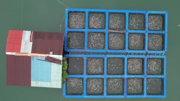 Aerial View of Fish Farms in Norway - Video, Çekim
