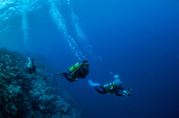 Дайвер плавает в Банде, Индонезия подводное фото
 - Фото, изображение