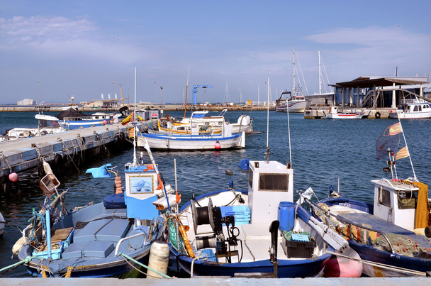 Αλιευτικό λιμάνι του τριαντάφυλλα στην Ισπανία - Φωτογραφία, εικόνα