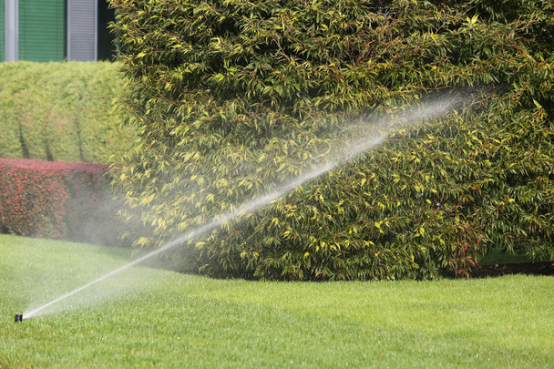 Sistema di irrigazione Irrigazione automatica del giardino
 - Foto, immagini