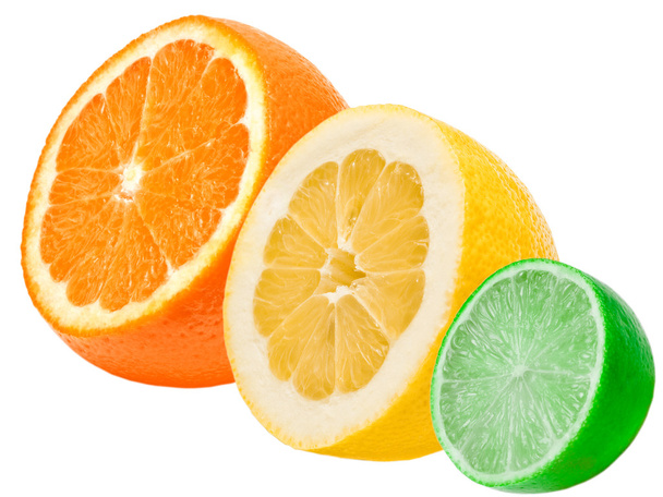 Citrus slices - Foto, Bild