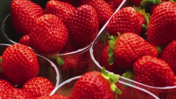 Strawberries packaged in box, sweet ripe perfect strawberry harvest, organic garden and agriculture concept - Filmagem, Vídeo
