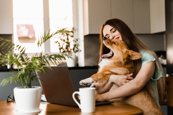 Girl sitting with laptop and hug Corgi dog at home. Remote work in house. Girl play with lovely Welsh Corgi Pembroke in break at online work. Lifestyle with domestic pet - Foto, Imagem