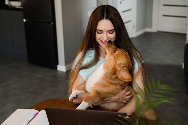 Девушке с ноутбуком нужно поцеловать собаку Корги дома. Деловая женщина работает онлайн над ноутбуком и обнимает свою собаку. Валлийский Корги Пемброк с его владельцем молодая женщина - Фото, изображение