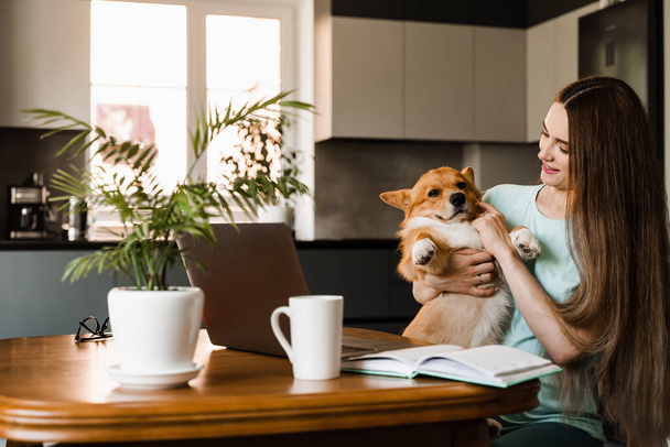 Lifestryle of girl freelancer and domestic Corgi dog at home. Working at home with laptop. Girl hug and play with lovely Welsh Corgi Pembroke in break at online work - Fotoğraf, Görsel