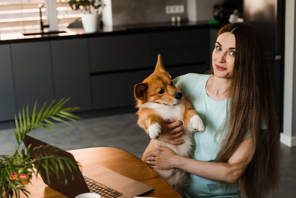 Lifestryle of girl freelancer and domestic Corgi dog at home. Working at home with laptop. Girl hug and play with lovely Welsh Corgi Pembroke in break at online work - Foto, imagen
