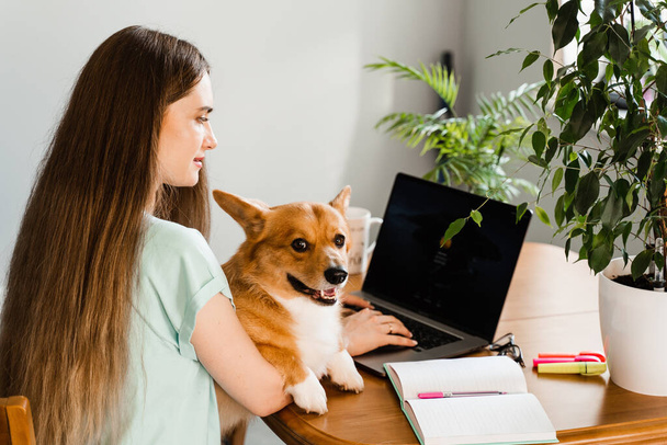Distance education. Girl student with laptop study online with her lovely Corgi dog at home. Young woman hug Welsh Corgi Pembroke and making notes in notebook. Lifestyle with domestic pet - Zdjęcie, obraz