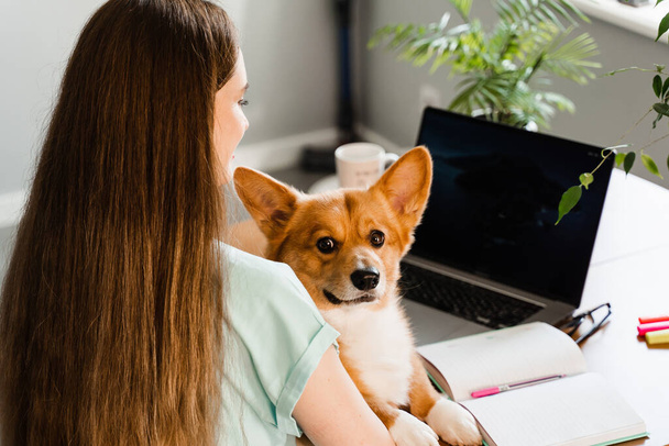 Distance education. Girl student with laptop study online with her lovely Corgi dog at home. Young woman hug Welsh Corgi Pembroke and making notes in notebook. Lifestyle with domestic pet - Фото, изображение