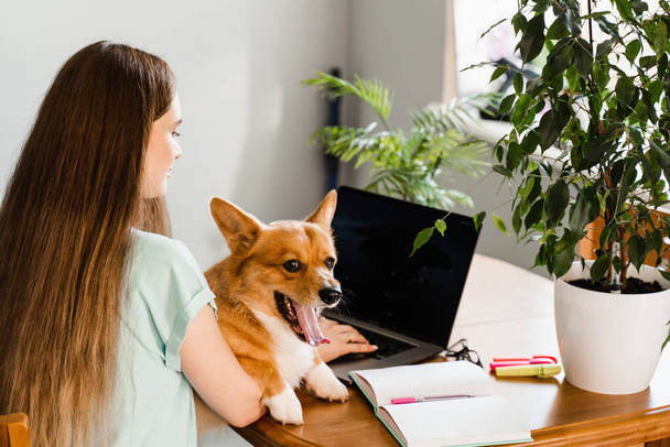 Distance education. Girl student with laptop study online with her lovely Corgi dog at home. Young woman hug Welsh Corgi Pembroke and making notes in notebook. Lifestyle with domestic pet - Fotó, kép