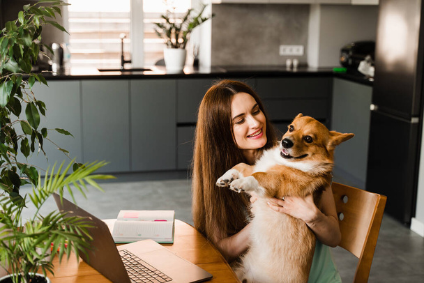 Девушка с ноутбука улыбка и играть с собакой Корги дома. Программист работает в сети и обнимает собаку. Веселитесь с валлийским Корги Пемброком - Фото, изображение