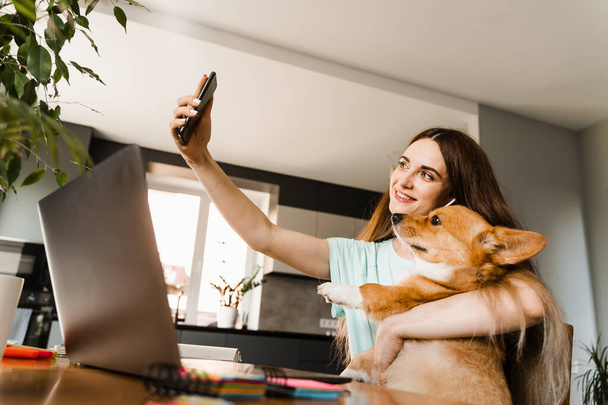 Freelancer girl with laptop making selfie making selfie with her Corgi dog. Girl have a break at work for making selfie with her domestic pet. Lifestyle of Welsh Corgi Pembroke pet - Foto, afbeelding