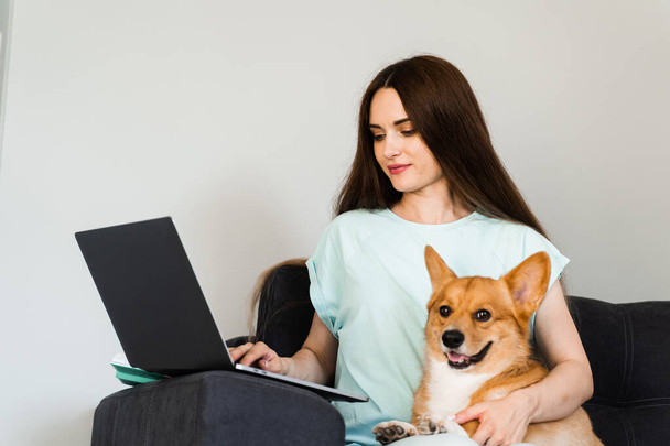 Attractive girl hug Corgi dog and have a rest at home. Girl and her domestic pet sit on the sofa and watching film on laptop together. Lifestyle with Welsh Corgi Pembroke - Photo, image