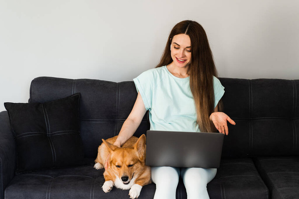 IT specialist girl with laptop and Corgi dog chat online with colleagues, gesticulates and explains creative concept of new project. Teamwork with Welsh Corgi Pembroke at home - Foto, Imagem